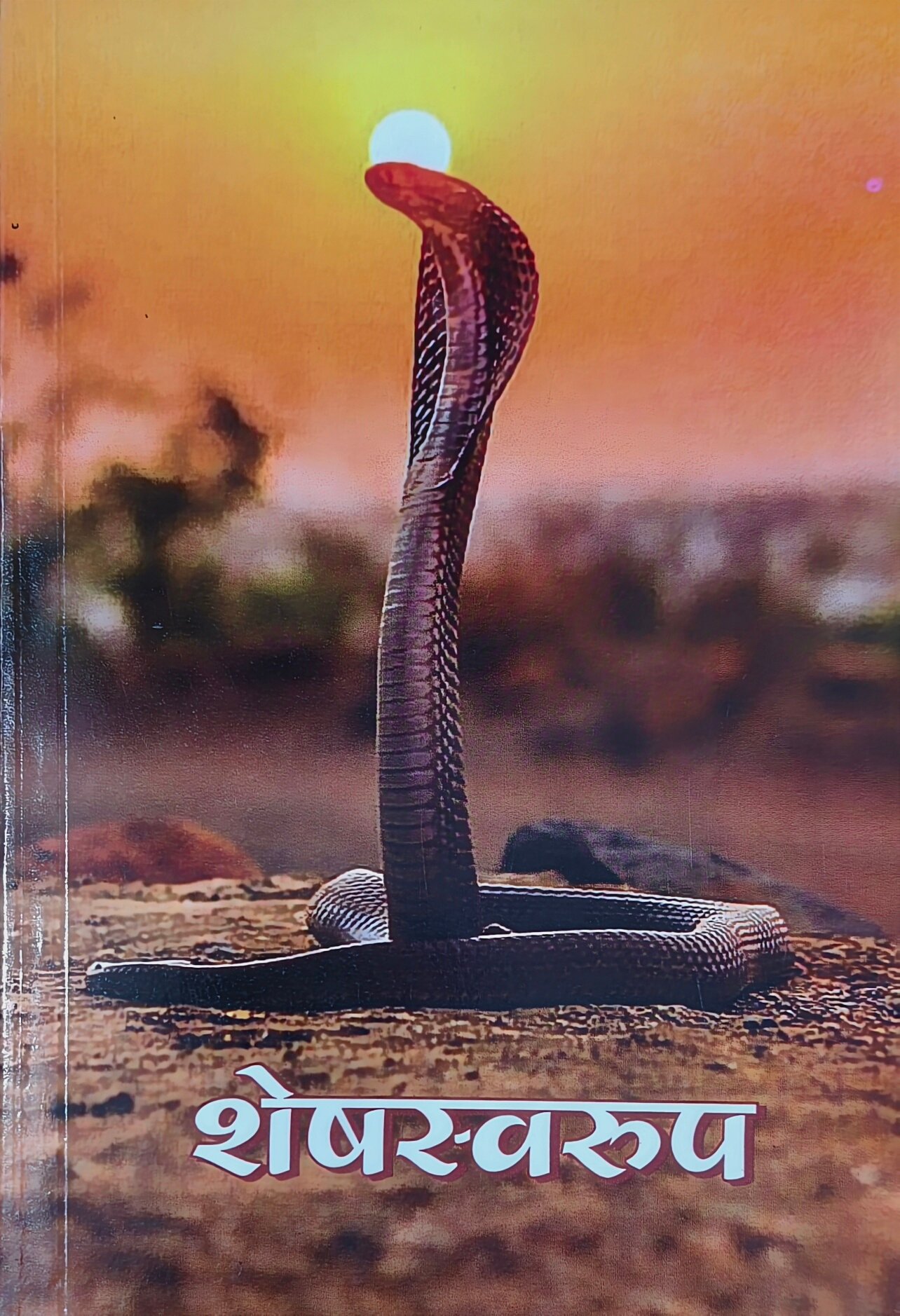 शेषस्वरूप