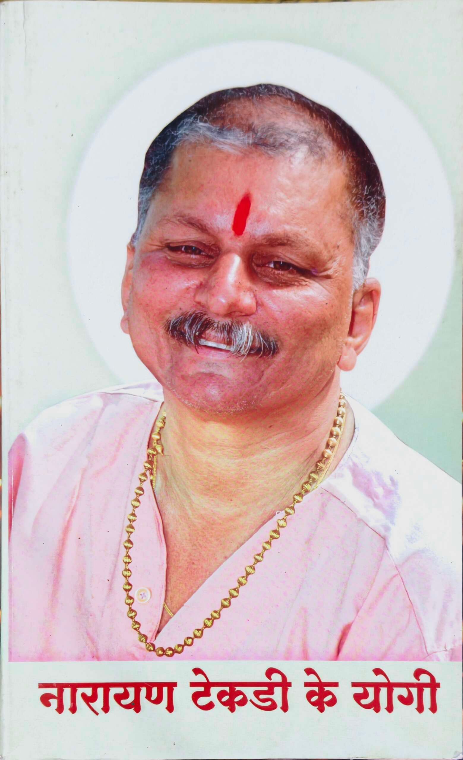 नारायण टेकड़ी के योगी